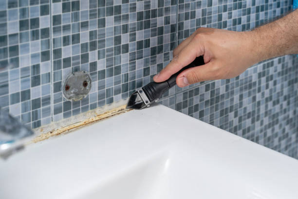 Best Post-Flood Mold Remediation in Chester, CA